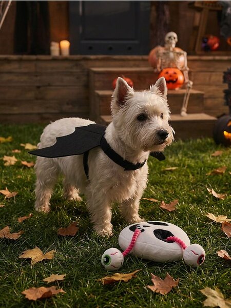 Sinsay - Halloweenský kostým netopýra pro psa - černá