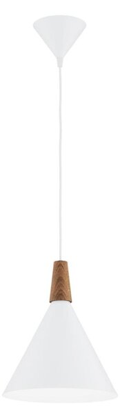 Argon 8630 - Lustr na lanku KEGEL 1xE27/15W/230V bílá