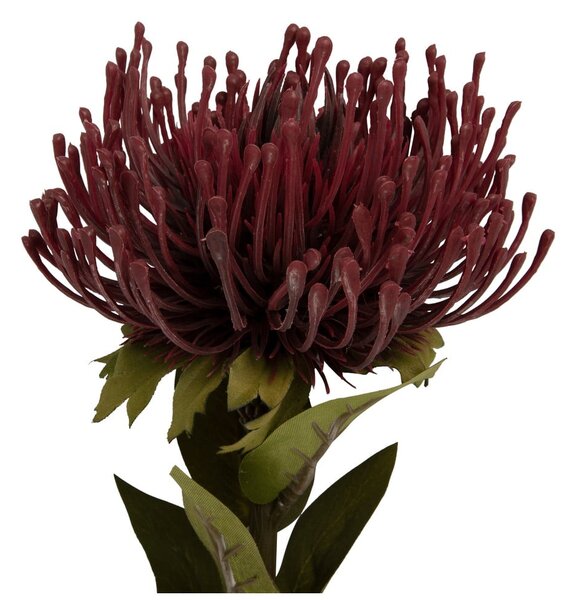 Umělá květina (výška 60 cm) Protea – PT LIVING