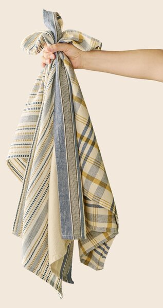 Utěrka Celine Blue and Beige Woven