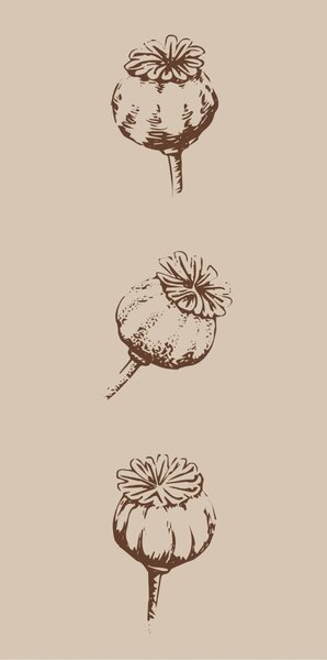 Papírové ubrousky Poppy – 16 ks