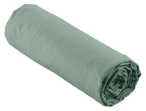 Zelené napínací prostěradlo z bavlněného perkálu 90x190 cm Percaline – douceur d'intérieur