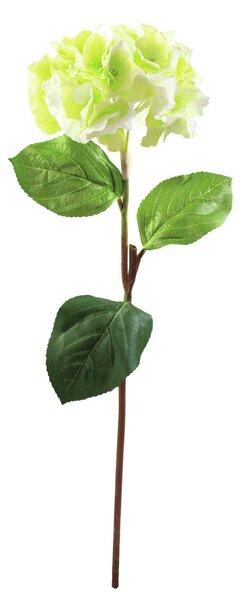 Hortenzie větvička, zelená, 76cm