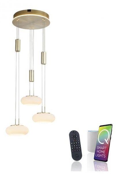 Paul Neuhaus Závěsné LED svítidlo Q-ETIENNE, 35W, ø 44 cm, CCT 2700-5000K Barva: ocel