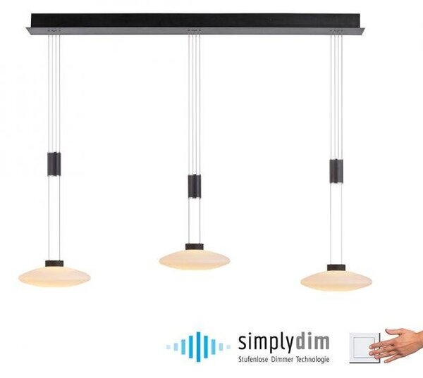 Paul Neuhaus Závěsné LED svítidlo LAUTADA, 26W, d. 116 cm, 3000K stmívatelné Barva: Stříbrná