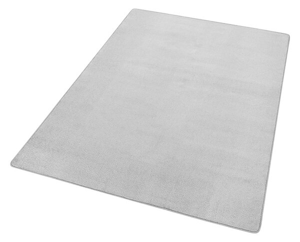 Světle šedý koberec 80x150 cm Fancy – Hanse Home