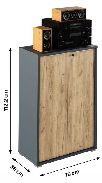 KONDELA Skříňka, grafit / dub artisan, RIOMA NEW TYP 09