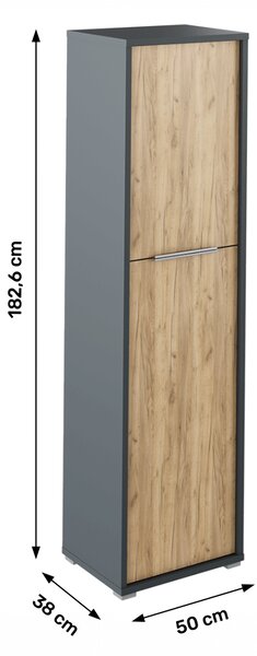 KONDELA Policová skříň, grafit / dub artisan, RIOMA NEW TYP 08