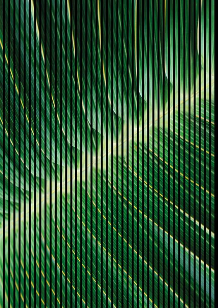 Neuhofer Designový akustický panel „Palmový list“ (Blatt01) Vyberte požadovaný rozměr: NR. 4: 1693 x 2400 mm (3 panely)
