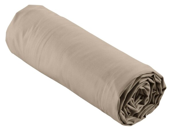 Světle hnědé napínací prostěradlo z bavlněného perkálu 90x190 cm Percaline – douceur d'intérieur