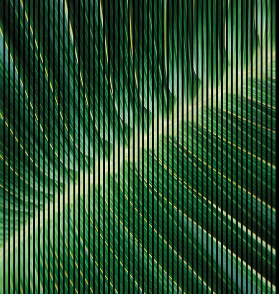 Neuhofer Designový akustický panel „Palmový list“ (Blatt01) Vyberte požadovaný rozměr: NR. 4: 1693 x 2400 mm (3 panely)
