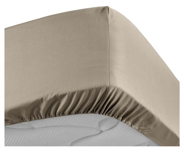 Světle hnědé napínací prostěradlo z bavlněného perkálu 90x190 cm Percaline – douceur d'intérieur