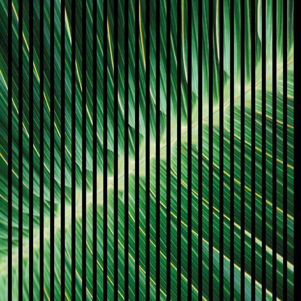 Neuhofer Designový akustický panel „Palmový list“ (Blatt01) Vyberte požadovaný rozměr: NR. 4: 1693 x 2400 mm (3 panely)