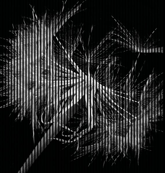 Designový akustický panel „Pampeliška“ (Pusteblume01) Vyberte požadovaný rozměr: NR. 3: 1133 x 2400 mm (2 panely)