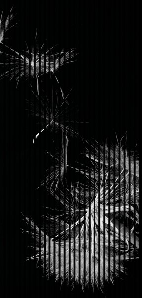 Designový akustický panel „Pampeliška“ (Pusteblume01) Vyberte požadovaný rozměr: NR. 3: 1133 x 2400 mm (2 panely)