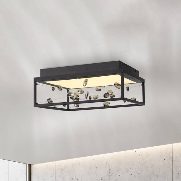 Paul Neuhaus LED stropní svítidlo SKINA, černé, 40 cm, stmívatelné, s dálkovým ovládáním, stmívatelný, Černá, Obývací pokoj / jídelna, kov, Moderní