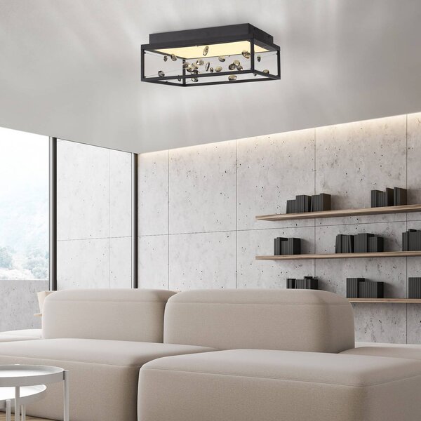 Paul Neuhaus LED stropní svítidlo SKINA, černé, 40 cm, stmívatelné, s dálkovým ovládáním, stmívatelný, Černá, Obývací pokoj / jídelna, kov, Moderní