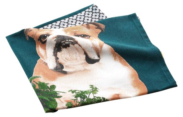 Bavlněná utěrka 50x70 cm Hot dog – douceur d'intérieur