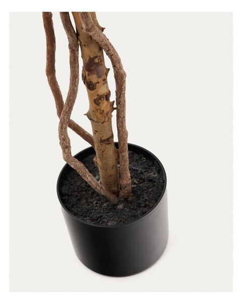 Umělý fíkus (výška 180 cm) Ficus – Kave Home