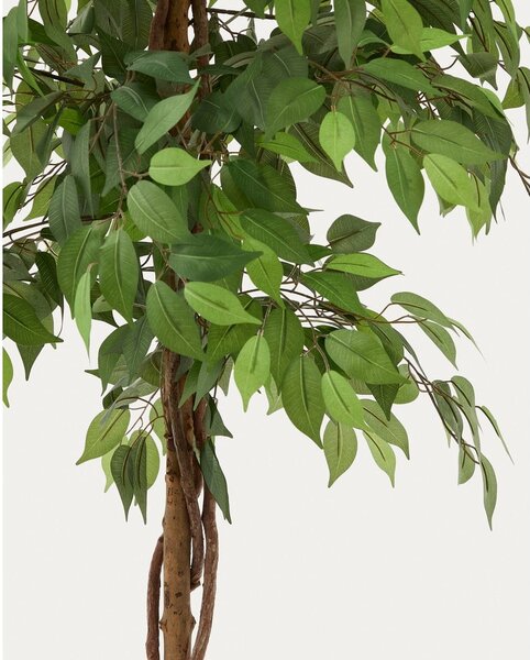 Umělý fíkus (výška 180 cm) Ficus – Kave Home