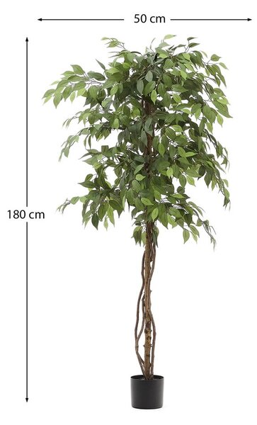 Umělý fíkus (výška 180 cm) Ficus – Kave Home