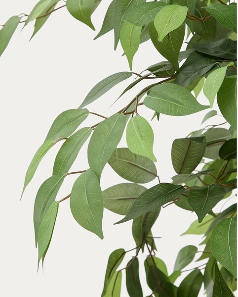 Umělý fíkus (výška 180 cm) Ficus – Kave Home