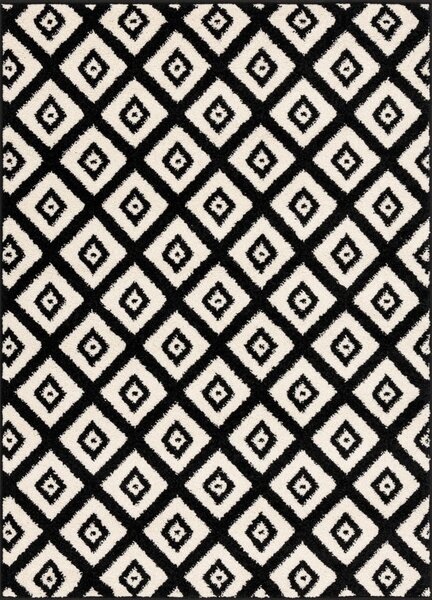 Černobílý koberec 80x120 cm Avanti – FD