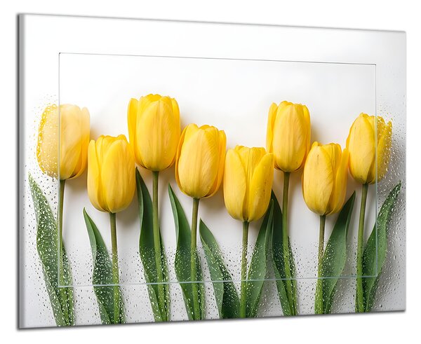 Obraz na plátně Tulipány a kapky , jednodílný 4763AX