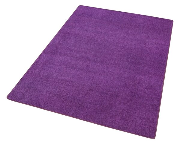 Tmavě fialový koberec 160x240 cm Fancy – Hanse Home