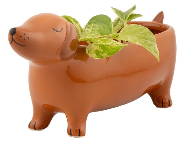 Keramický obal na květináč Sausage Dog – Sass & Belle