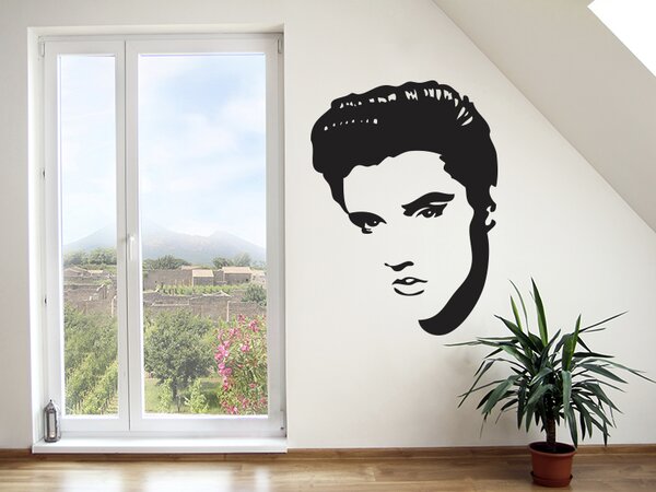 Elvis Presley tvář 20 x 27 cm