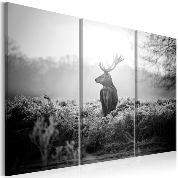 Obraz - Černobílý jelen I 90x60