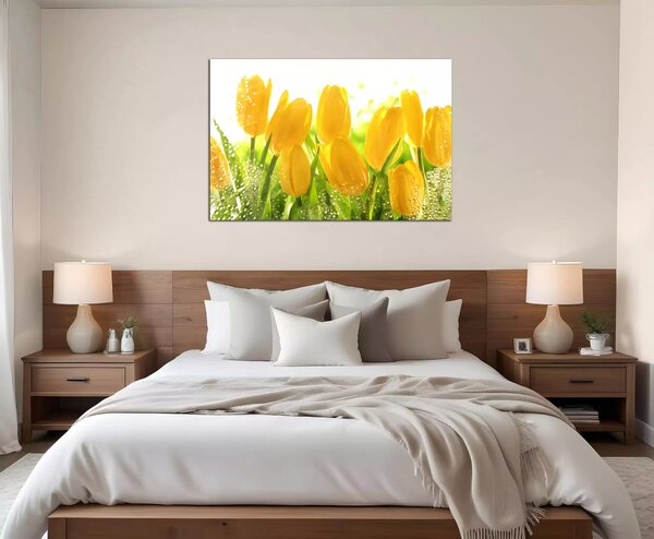 Obraz na zeď Žluté tulipány