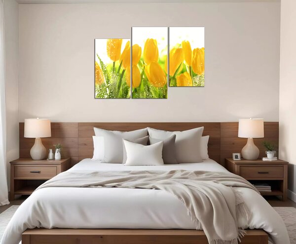 Obraz na zeď Žluté tulipány