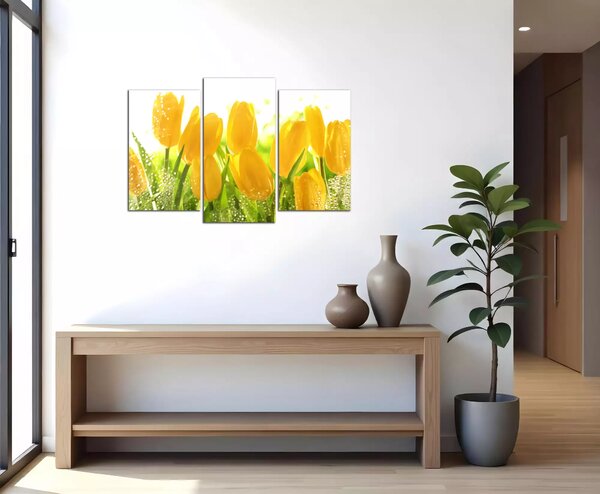 Obraz na zeď Žluté tulipány