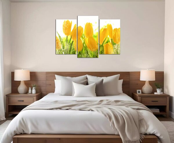 Obraz na zeď Žluté tulipány