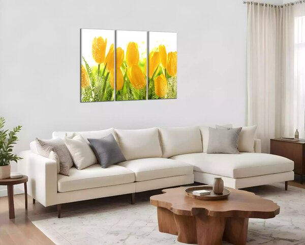 Obraz na zeď Žluté tulipány