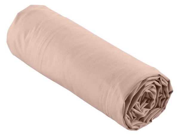 Růžové napínací prostěradlo z bavlněného perkálu 160x200 cm Percaline – douceur d'intérieur