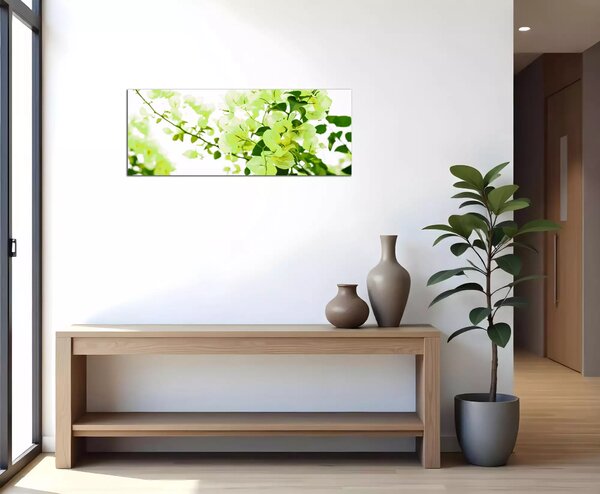 Obraz na zeď Zelené listy panorama