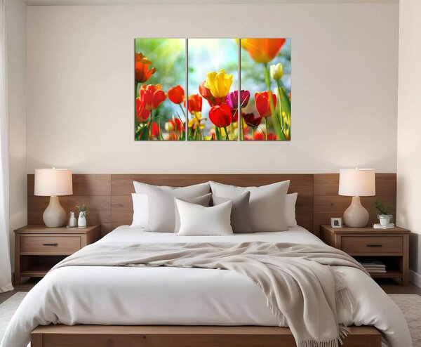 Obraz na plátně Barevné květy tulipánů