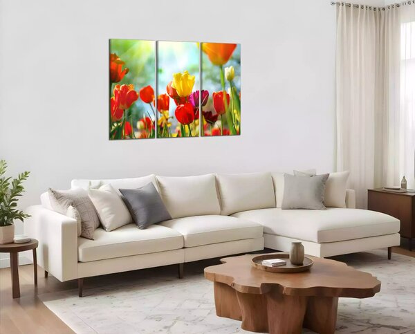 Obraz na plátně Barevné květy tulipánů