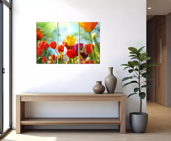 Obraz na plátně Barevné květy tulipánů