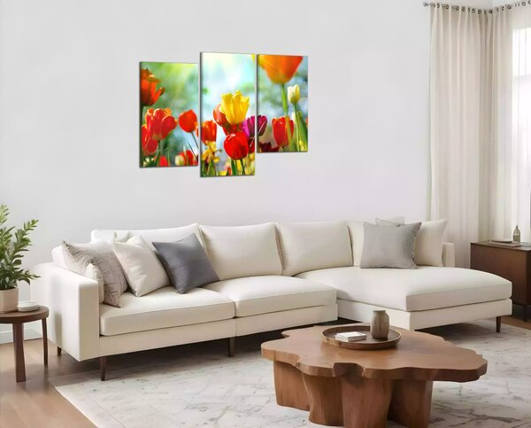 Obraz na plátně Barevné květy tulipánů