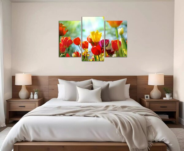 Obraz na plátně Barevné květy tulipánů