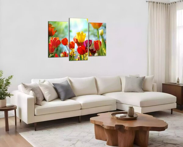 Obraz na plátně Barevné květy tulipánů