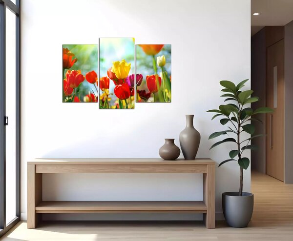 Obraz na plátně Barevné květy tulipánů