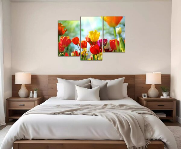 Obraz na plátně Barevné květy tulipánů
