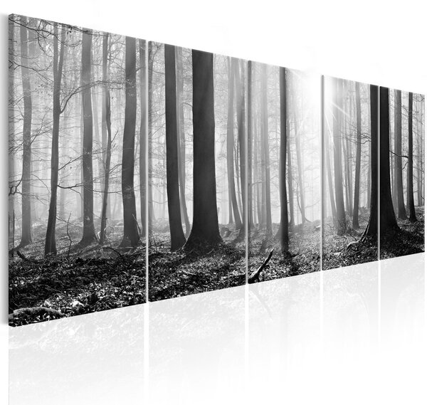 Obraz - Monochromatický les 200x80