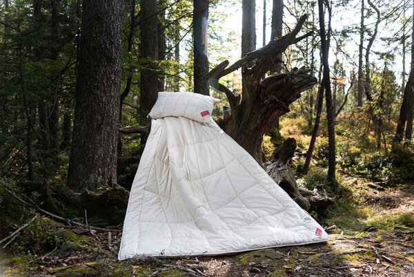 POLŠTÁŘ, 40/80 cm Hefel Textil - Polštáře pod hlavu