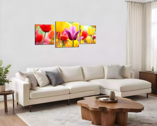 Obraz na plátně Barevné tulipány panorama